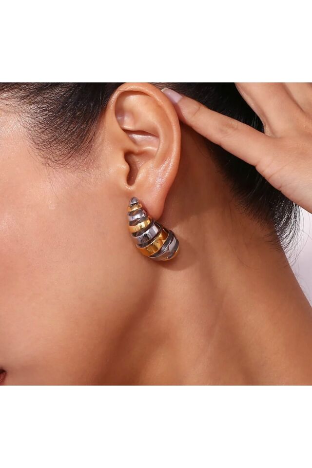 Gold & Silver Kruvasan Küpe